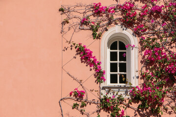 Charming white arched window surrounded by lush pink bougainvillea cascading over a peach-hued wall. The vivid flowers and soft colors create a harmonious and picturesque scene.