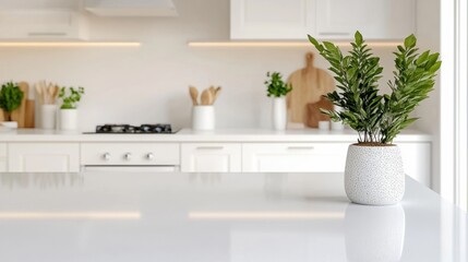 Poster - A pristine white countertop showcases a solitary potted plant, while the kitchen's soft, blurred background creates a serene atmosphere
