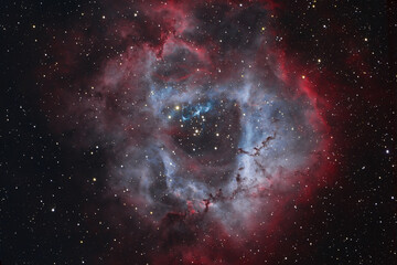 Wall Mural - the rosette nebula