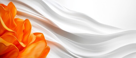 Wall Mural -  A tight shot of an orange bloom against a pristine white backdrop, surrounded by a ripple effect of white and orange hues