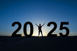 © Delphotostock - 2025, silhouette of a strong woman standing in the sunrise, women new year greeting card
