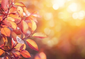 Wall Mural - Autumn Leaves in Warm Light Generative AI