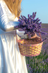 Wall Mural - Girl in lavender