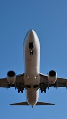 Wall Mural - Vertical video of airplane impressive landing flying overhead