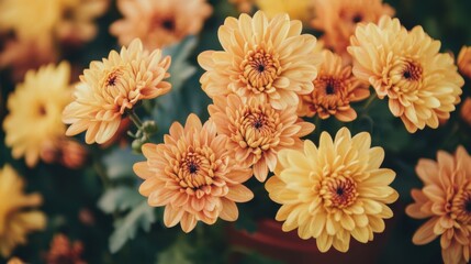 Wall Mural - A close up of a bunch of flowers that are yellow, AI