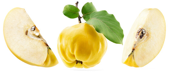 Poster - set of quinces isolated on a white background. Clipping path