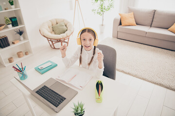 Poster - High angle view photo of lovely little girl raise fists study online laptop desk modern flat indoors