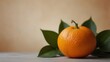 © Nemanja - A small orange sits on a table with green leaves