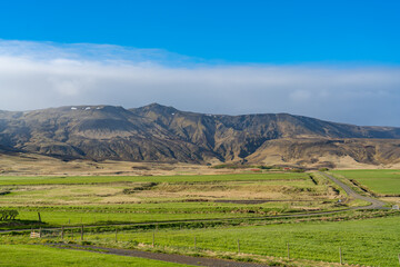 Canvas Print - Spring landscape of south Iceland