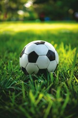 Wall Mural - A black and white soccer ball resting on lush green grass