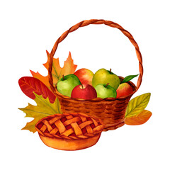 Apple basket and autumn leaves clip art, watercolor realistic botanical illustration, for prints, invitations, cards for the autumn holidays Thanksgiving, Halloween, harvest festival, farmer's market.