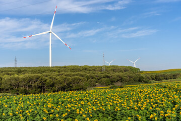 wind power turbines in agriculture field