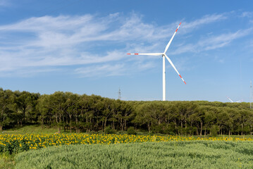 wind power turbines in agriculture field