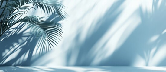 Poster - 3D rendering of blurred shadows from palm leaves on a light blue wall creating a minimal abstract background suitable for product presentation
