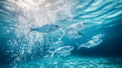 Aufkleber - A dynamic image of a school of fish swimming rapidly, with the water creating trails of bubbles and a sense of motion in the clear ocean.