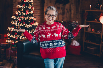 Wall Mural - Photo of friendly cheerful lady talk congratulate magic christmas time tree illumination apartment inside