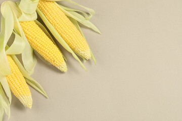 Sticker - Many fresh ripe corncobs with husks on beige background, top view. Space for text