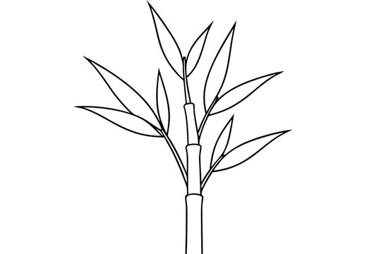 A Bamboo tree vector illustration