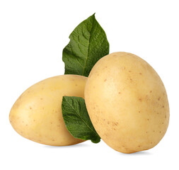 Potatoes and green leaves isolated on white