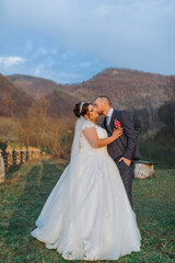 A bride and groom are kissing in front of a mountain