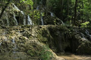 waterfall in the forest