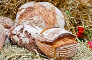 A rustic display of various artisan breads placed on straw, showcasing the textures and natural appeal of traditional baking.