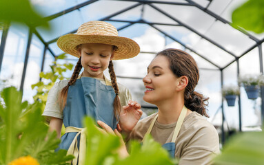 Wall Mural - mother and daughter are gardening in the greenhouse