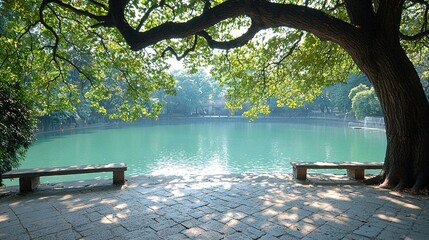 Wall Mural -   A pair of benches rests beneath a tree beside a serene body of water, with a solitary tree in its center