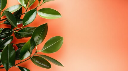 Wall Mural -   A close-up of a green plant on an orange background, with space for text on the left side of the image