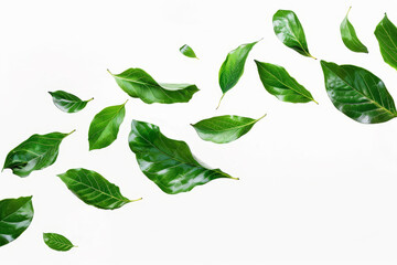 Wall Mural - A white background with green leaves scattered across it