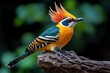 © Sanchai - Beautiful birds with vibrant, contrasting plumage highlighted in a close-up photo, showcasing their striking beauty