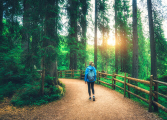 Wall Mural - woman in a blue jacket with backpack is walking on a forest trail, trees with lush green foliage at 