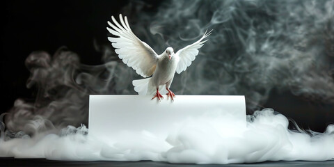 A dove with a letter