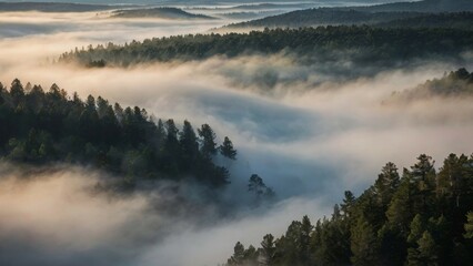 Sticker - fog over the mountains