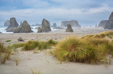 Oregon Coast in Autumn, sea stacks in light fog,  City of Bandon, Southern Oregon, USA.