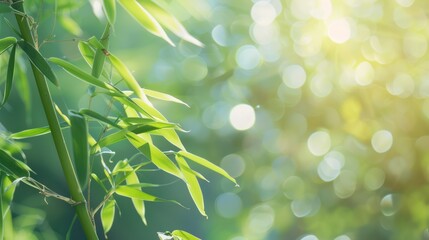 Wall Mural - Bamboo Leaves Sunlight