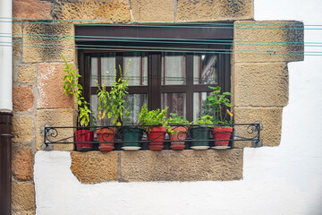 Aromatic plant on the windowsill of an old stone house