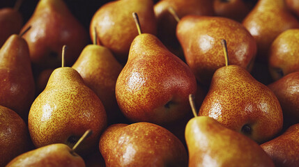   A table holds several piles of pears stacked one atop another