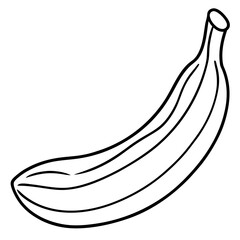 Wall Mural - illustration of banana line art