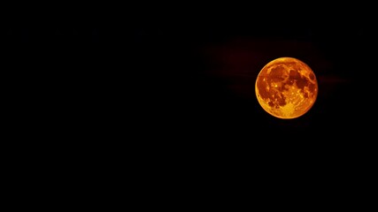 Wall Mural - Full moon time-lapse yellow lunar moving near the horizon, black background