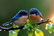 © Sanchai - Beautiful birds perched on a sunlit, dew-covered branch in a realistic photo, capturing the delicate interaction between light and nature