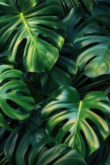 Poster - A detailed view of a collection of green leaves, suitable for use in nature or botanical themed projects