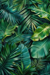 Poster - A detailed view of a cluster of green leaves