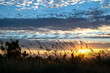 © Danita Delimont - USA, South Carolina. Hilton Head Island, sand dune, sea qat grass silhouetted at sunrise.