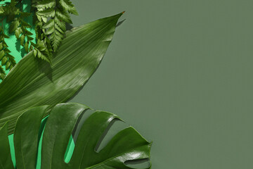 Different green tropical leaves on color background