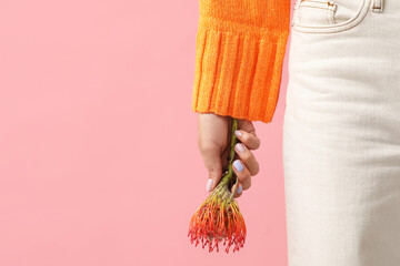 Wall Mural - Woman with beautiful manicure and protea flower on pink background, closeup