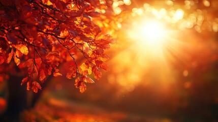 Wall Mural - A close-up of a tree with vibrant autumn leaves in shades of red, orange, and yellow, with the sun casting a warm glow through the foliage.