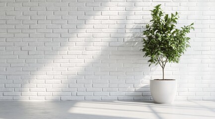 Poster - Imagine a wonderfully stylish indoor setting that showcases a vibrant green plant beautifully placed in a sleek white pot, set against the backdrop of a pristine and clean white brick wall