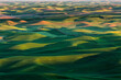 © Danita Delimont - Elevated view of undulating wheat crop, Palouse region of eastern Washington State.