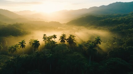 Wall Mural - landscape with tropical